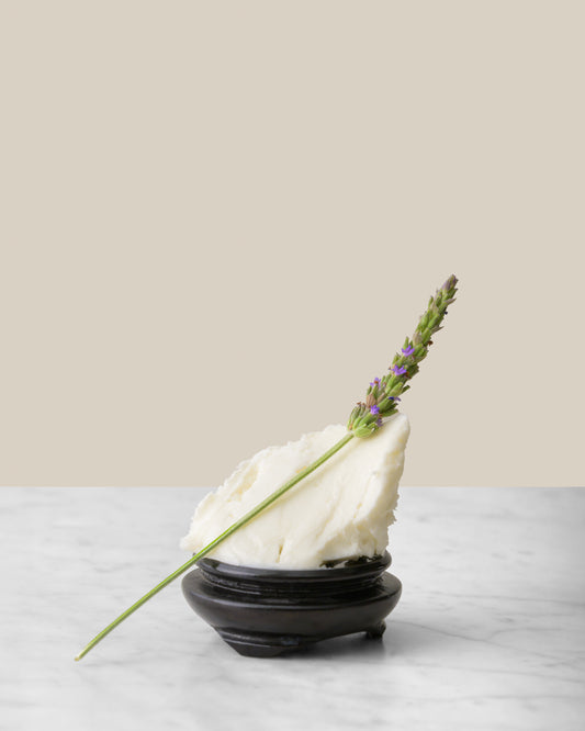 Body Butter Lavender
