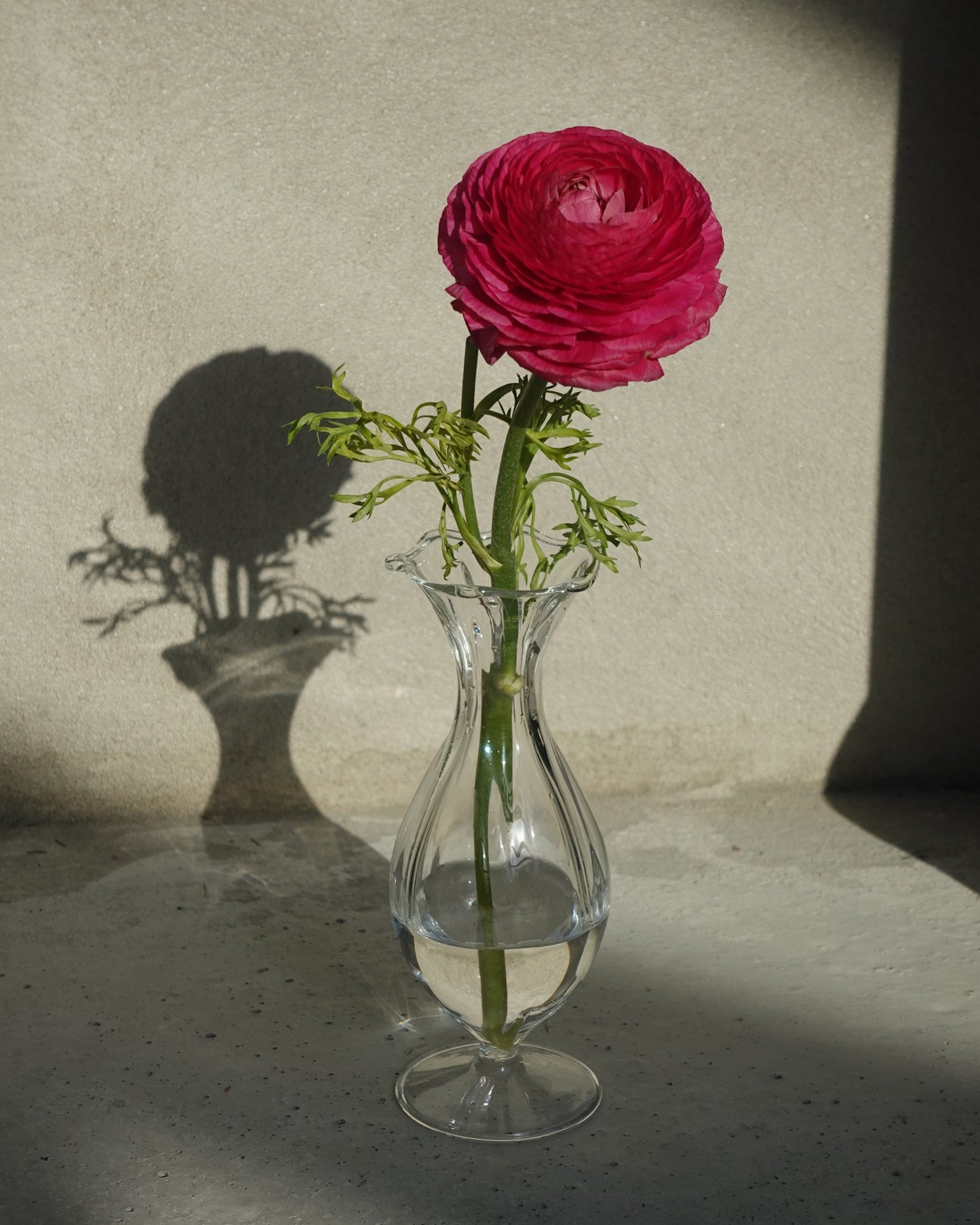 Glass Vase