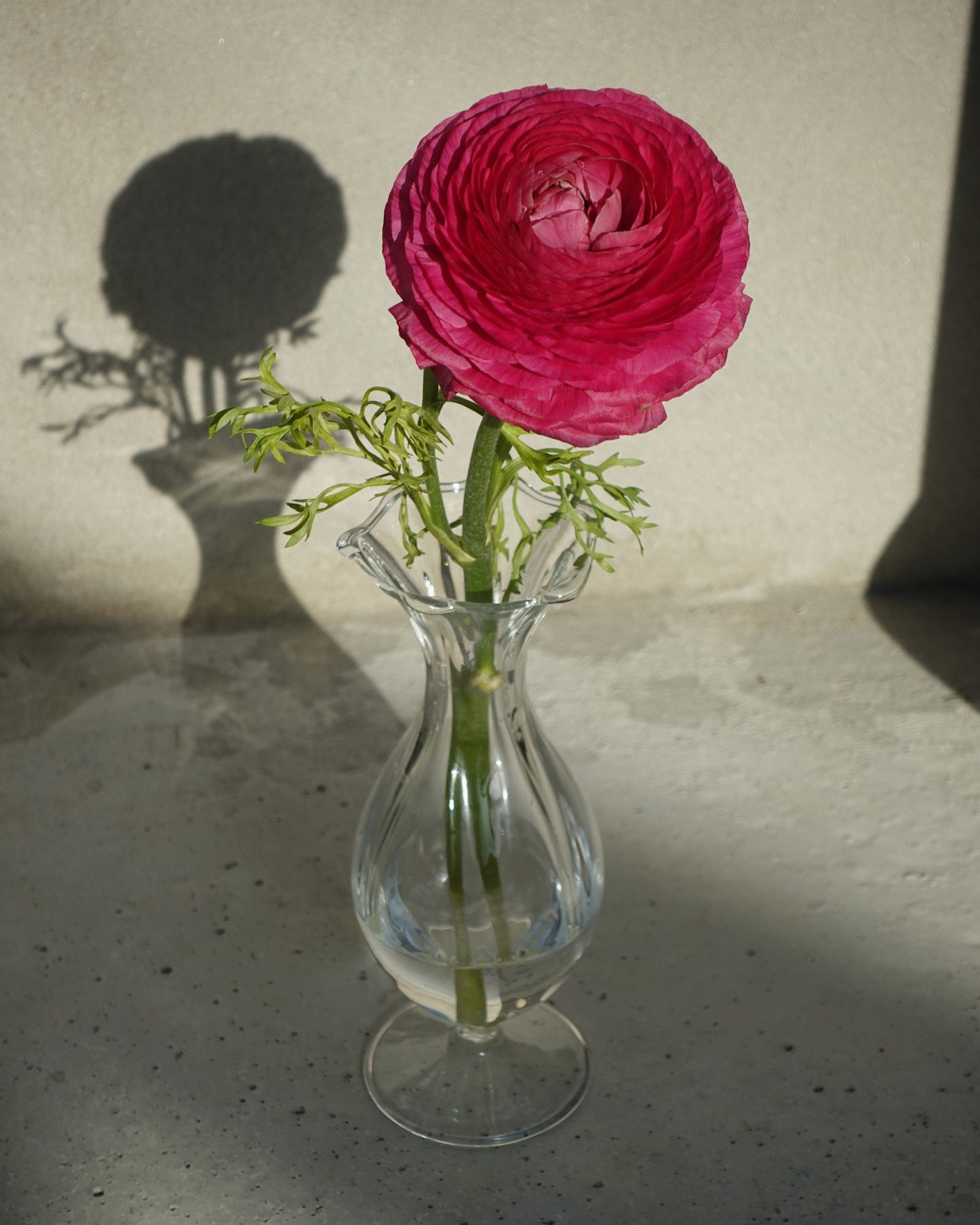 Glass Vase