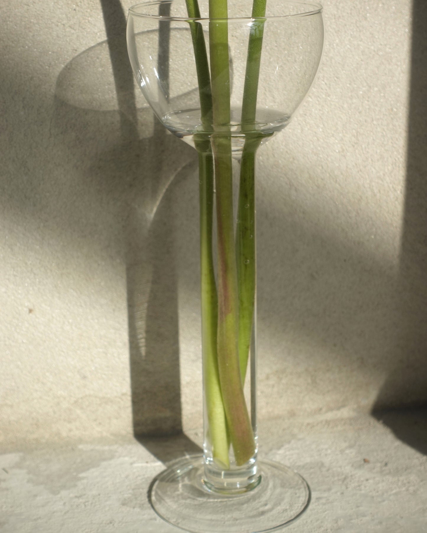 High Glass Vase
