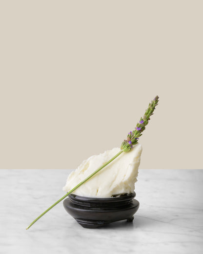 Body Butter Lavender