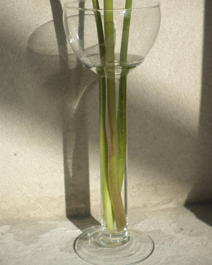 High Glass Vase