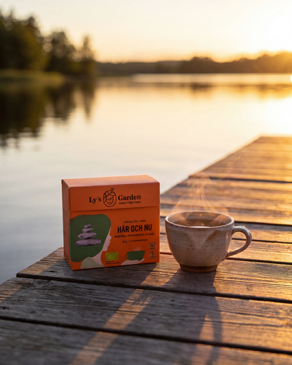 Box of Ly's Tea Garden tea and a steaming cup on a wooden dock by a lake at sunset.